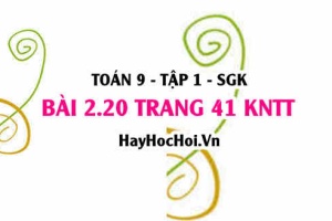 Bài 2.20 trang 41 Toán 9 tập 1 Kết nối tri thức